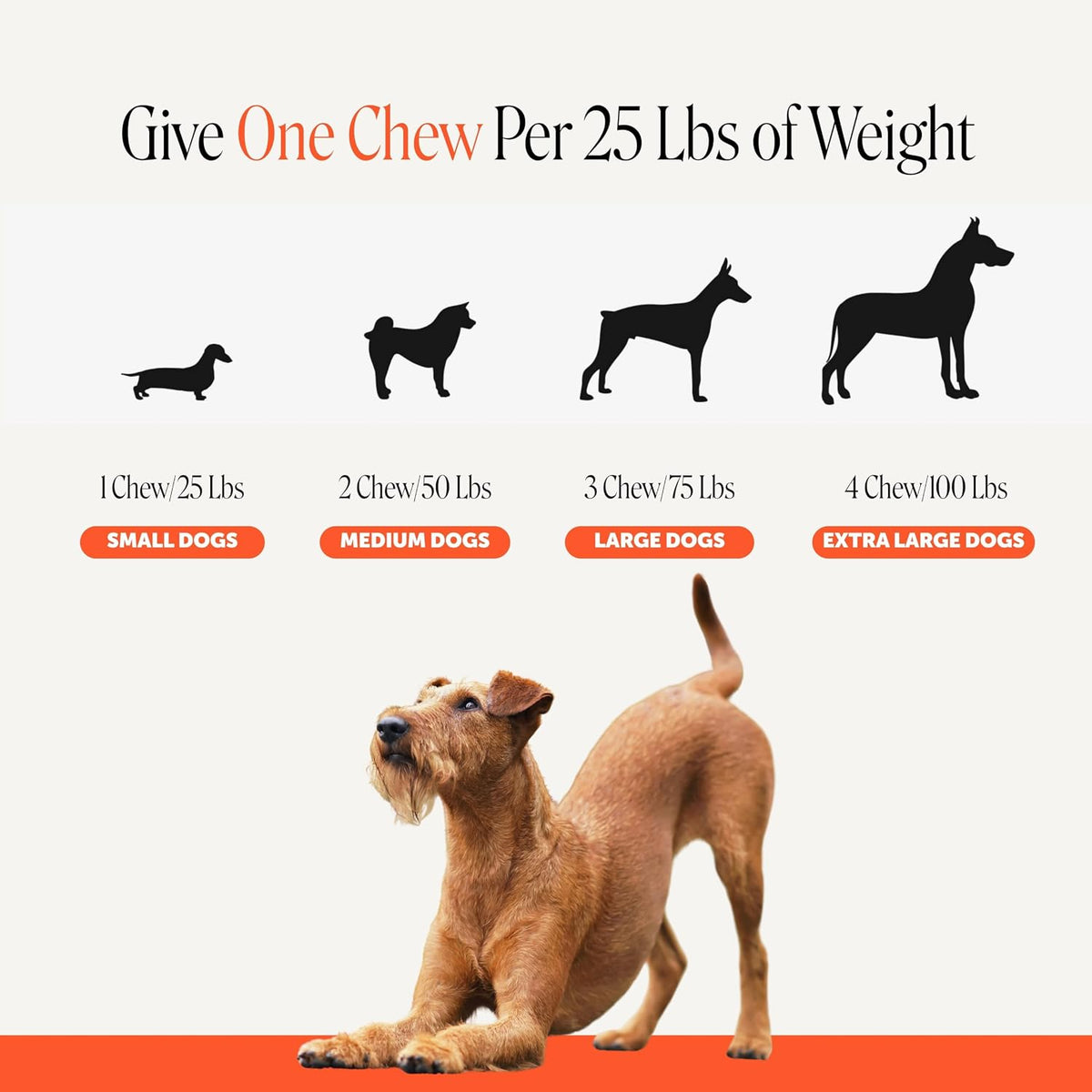 Vet Recommended Hip and Joint Supplement for Dogs