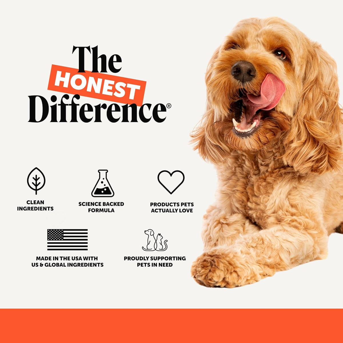 Vet Recommended Hip and Joint Supplement for Dogs