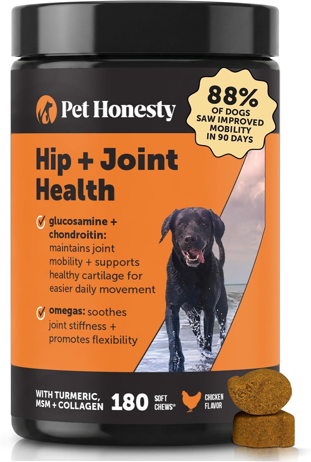 Vet Recommended Hip and Joint Supplement for Dogs