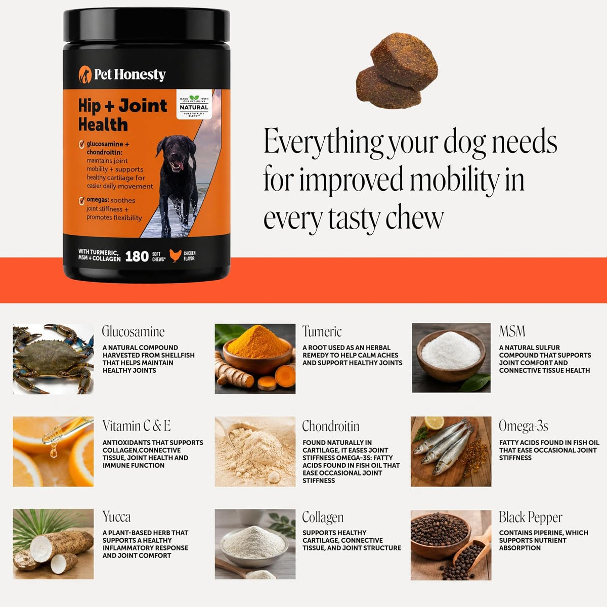 Vet Recommended Hip and Joint Supplement for Dogs