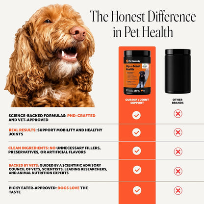 Vet Recommended Hip and Joint Supplement for Dogs