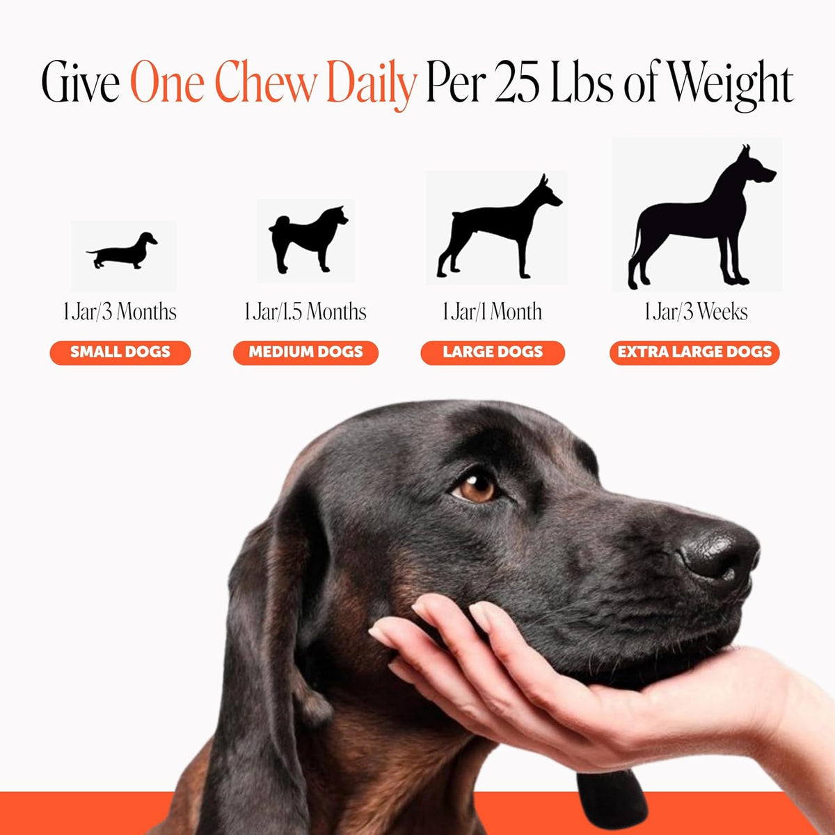 Vet Recommended Hip and Joint Supplement for Dogs