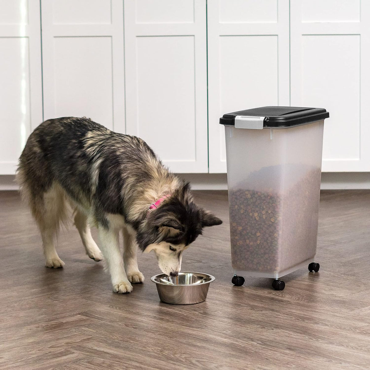 Airtight Pet Food Storage Rolling Container, 30 lb Capacity, Black