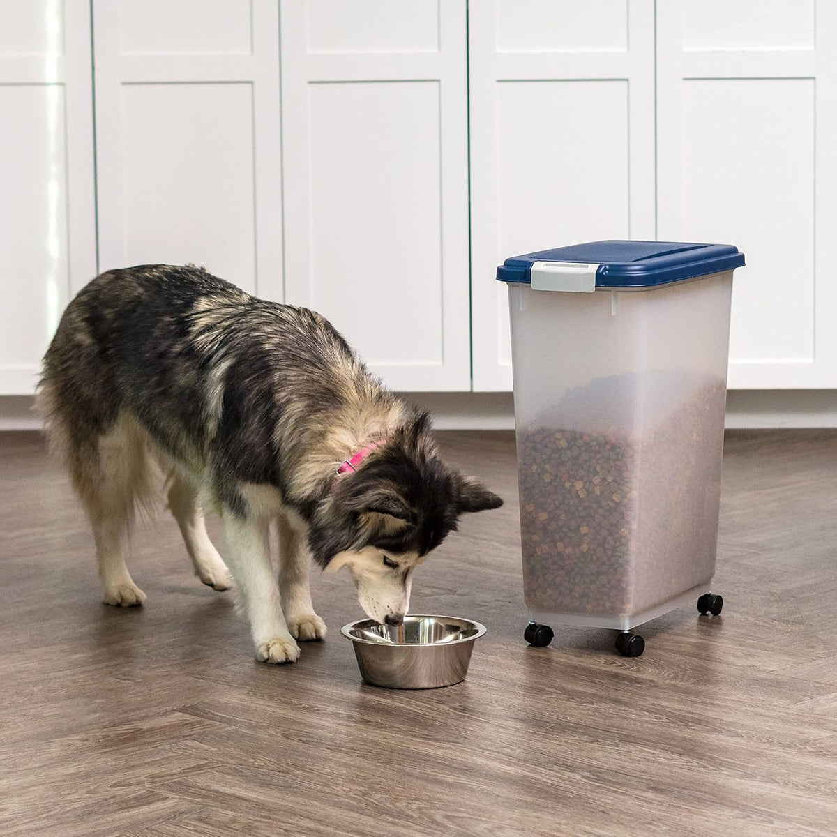 Airtight Pet Food Storage Rolling Container, 30 lb Capacity, Black
