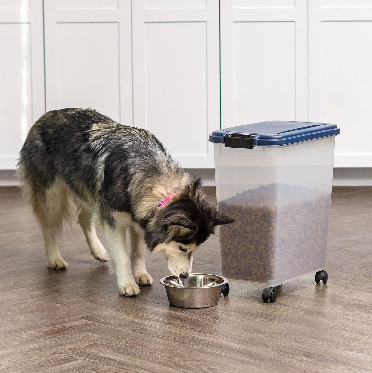 Airtight Pet Food Storage Rolling Container, 30 lb Capacity, Black