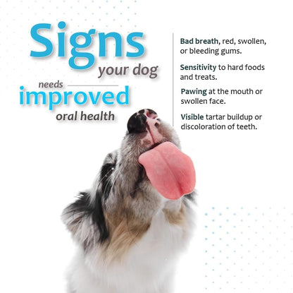 Oral Hygiene Chews for Small Dogs-Enzymatic Dental Treats for Daily Oral Care, Cleans Teeth and Freshens Breath, Reduces Plaque, Bacteria and Tartar Build Up Without Brushing-30 Chews