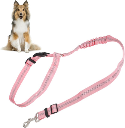 Dog Seat Belt for Car, Dog Car Harness Dog Nylon Reflective Safety Seatbelt Strap Crash Tested Dog Seat Belt Dog Restraints Vehicle Seatbelts Harness Puppy Safety Harness for