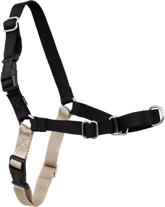 Easy Walk Harness, No Pull Dog Harness, Black, Medium | Patented Martingale Loop Gives Gradual Shoulder Pressure to Stop Pulling, Front-Chest Leash Clip Prevents Gagging
