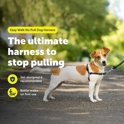 Easy Walk Harness, No Pull Dog Harness, Black, Medium | Patented Martingale Loop Gives Gradual Shoulder Pressure to Stop Pulling, Front-Chest Leash Clip Prevents Gagging