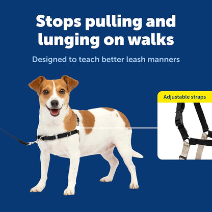 Easy Walk Harness, No Pull Dog Harness, Black, Medium | Patented Martingale Loop Gives Gradual Shoulder Pressure to Stop Pulling, Front-Chest Leash Clip Prevents Gagging
