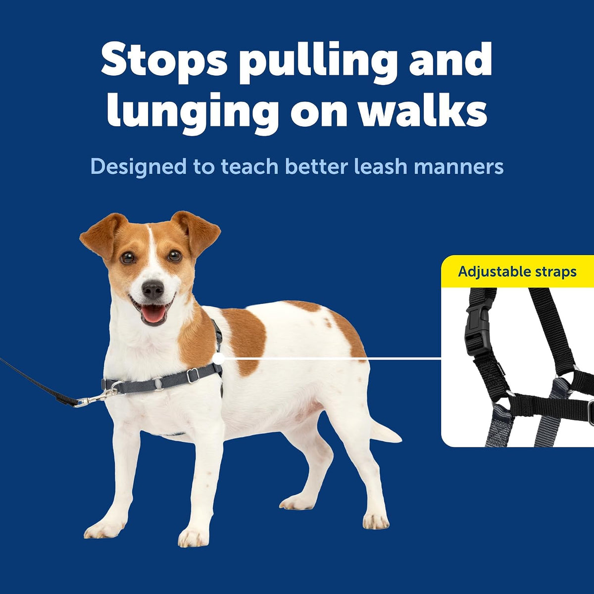 Easy Walk Harness, No Pull Dog Harness, Black, Medium | Patented Martingale Loop Gives Gradual Shoulder Pressure to Stop Pulling, Front-Chest Leash Clip Prevents Gagging