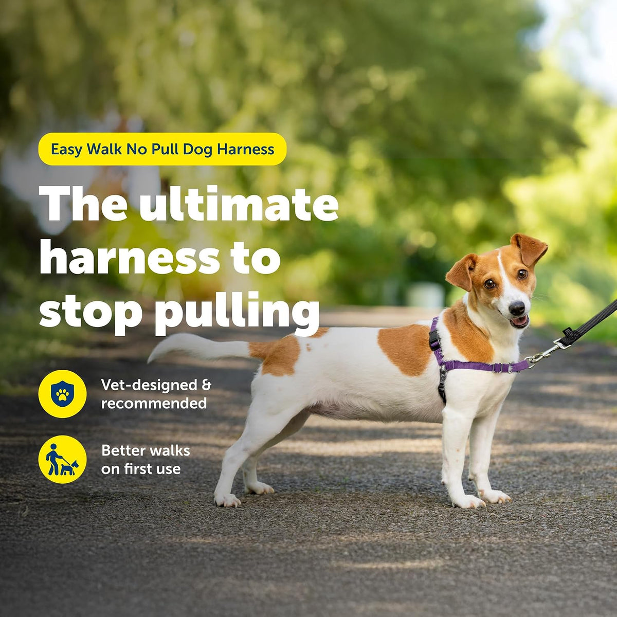 Easy Walk Harness, No Pull Dog Harness, Black, Medium | Patented Martingale Loop Gives Gradual Shoulder Pressure to Stop Pulling, Front-Chest Leash Clip Prevents Gagging