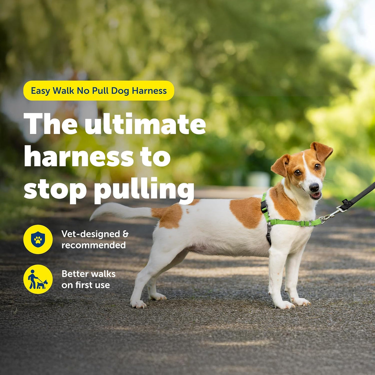 Easy Walk Harness, No Pull Dog Harness, Black, Medium | Patented Martingale Loop Gives Gradual Shoulder Pressure to Stop Pulling, Front-Chest Leash Clip Prevents Gagging