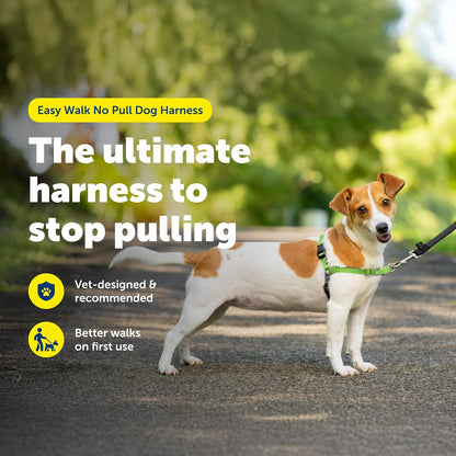 Easy Walk Harness, No Pull Dog Harness, Black, Medium | Patented Martingale Loop Gives Gradual Shoulder Pressure to Stop Pulling, Front-Chest Leash Clip Prevents Gagging