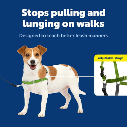 Easy Walk Harness, No Pull Dog Harness, Black, Medium | Patented Martingale Loop Gives Gradual Shoulder Pressure to Stop Pulling, Front-Chest Leash Clip Prevents Gagging