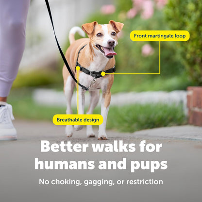 Easy Walk Harness, No Pull Dog Harness, Black, Medium | Patented Martingale Loop Gives Gradual Shoulder Pressure to Stop Pulling, Front-Chest Leash Clip Prevents Gagging