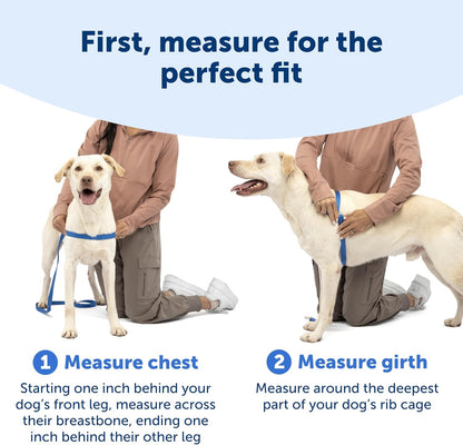 Easy Walk Harness, No Pull Dog Harness, Black, Medium | Patented Martingale Loop Gives Gradual Shoulder Pressure to Stop Pulling, Front-Chest Leash Clip Prevents Gagging