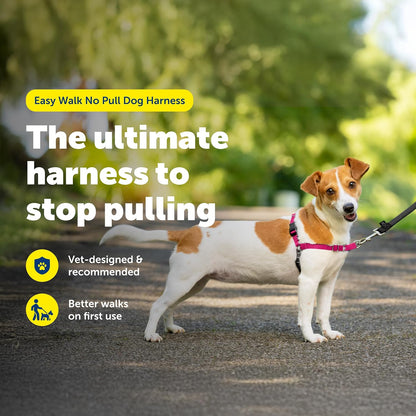 Easy Walk Harness, No Pull Dog Harness, Black, Medium | Patented Martingale Loop Gives Gradual Shoulder Pressure to Stop Pulling, Front-Chest Leash Clip Prevents Gagging