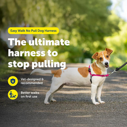 Easy Walk Harness, No Pull Dog Harness, Black, Medium | Patented Martingale Loop Gives Gradual Shoulder Pressure to Stop Pulling, Front-Chest Leash Clip Prevents Gagging