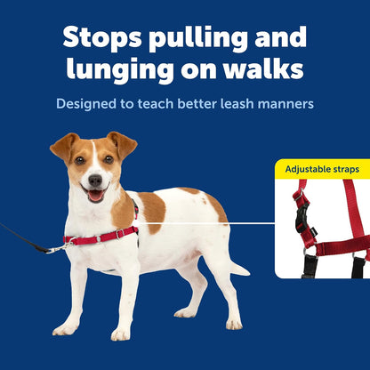 Easy Walk Harness, No Pull Dog Harness, Black, Medium | Patented Martingale Loop Gives Gradual Shoulder Pressure to Stop Pulling, Front-Chest Leash Clip Prevents Gagging