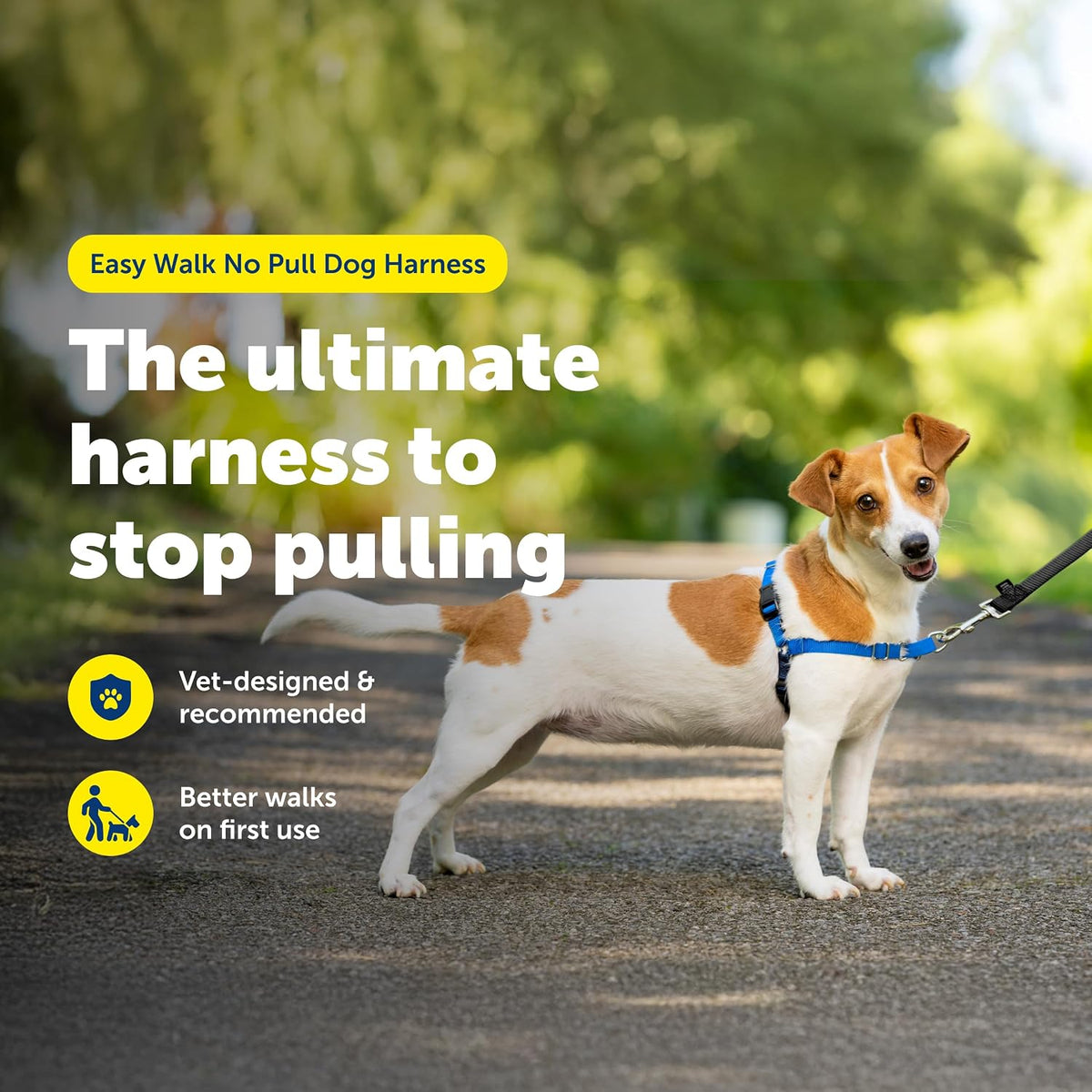 Easy Walk Harness, No Pull Dog Harness, Black, Medium | Patented Martingale Loop Gives Gradual Shoulder Pressure to Stop Pulling, Front-Chest Leash Clip Prevents Gagging