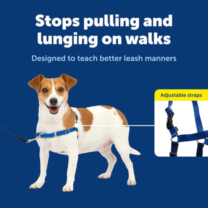 Easy Walk Harness, No Pull Dog Harness, Black, Medium | Patented Martingale Loop Gives Gradual Shoulder Pressure to Stop Pulling, Front-Chest Leash Clip Prevents Gagging