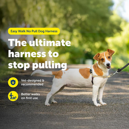 Easy Walk Harness, No Pull Dog Harness, Black, Medium | Patented Martingale Loop Gives Gradual Shoulder Pressure to Stop Pulling, Front-Chest Leash Clip Prevents Gagging