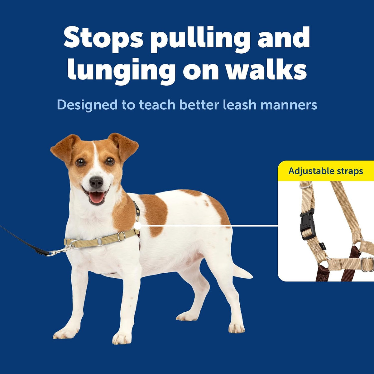 Easy Walk Harness, No Pull Dog Harness, Black, Medium | Patented Martingale Loop Gives Gradual Shoulder Pressure to Stop Pulling, Front-Chest Leash Clip Prevents Gagging
