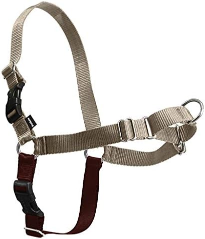 Easy Walk Harness, No Pull Dog Harness, Black, Medium | Patented Martingale Loop Gives Gradual Shoulder Pressure to Stop Pulling, Front-Chest Leash Clip Prevents Gagging