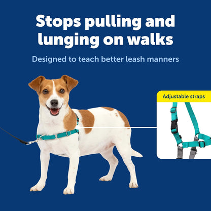 Easy Walk Harness, No Pull Dog Harness, Black, Medium | Patented Martingale Loop Gives Gradual Shoulder Pressure to Stop Pulling, Front-Chest Leash Clip Prevents Gagging