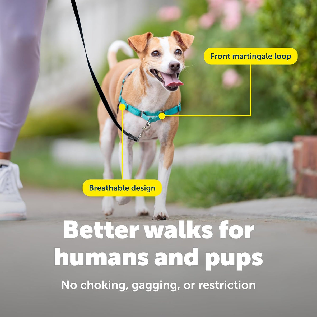 Easy Walk Harness, No Pull Dog Harness, Black, Medium | Patented Martingale Loop Gives Gradual Shoulder Pressure to Stop Pulling, Front-Chest Leash Clip Prevents Gagging