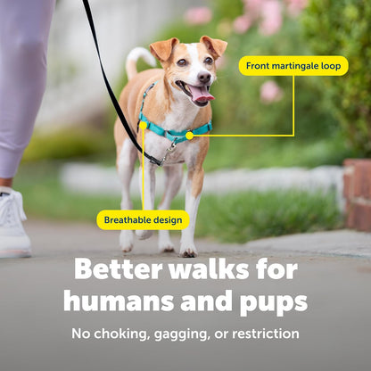 Easy Walk Harness, No Pull Dog Harness, Black, Medium | Patented Martingale Loop Gives Gradual Shoulder Pressure to Stop Pulling, Front-Chest Leash Clip Prevents Gagging