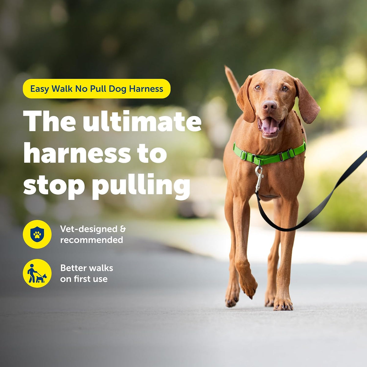 Easy Walk Harness, No Pull Dog Harness, Black, Medium | Patented Martingale Loop Gives Gradual Shoulder Pressure to Stop Pulling, Front-Chest Leash Clip Prevents Gagging