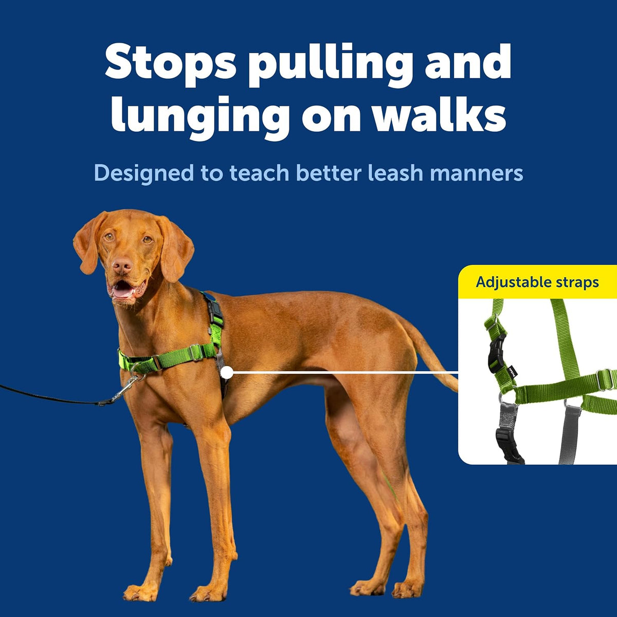 Easy Walk Harness, No Pull Dog Harness, Black, Medium | Patented Martingale Loop Gives Gradual Shoulder Pressure to Stop Pulling, Front-Chest Leash Clip Prevents Gagging