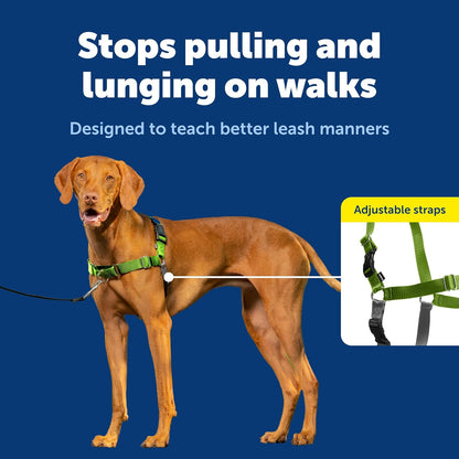 Easy Walk Harness, No Pull Dog Harness, Black, Medium | Patented Martingale Loop Gives Gradual Shoulder Pressure to Stop Pulling, Front-Chest Leash Clip Prevents Gagging