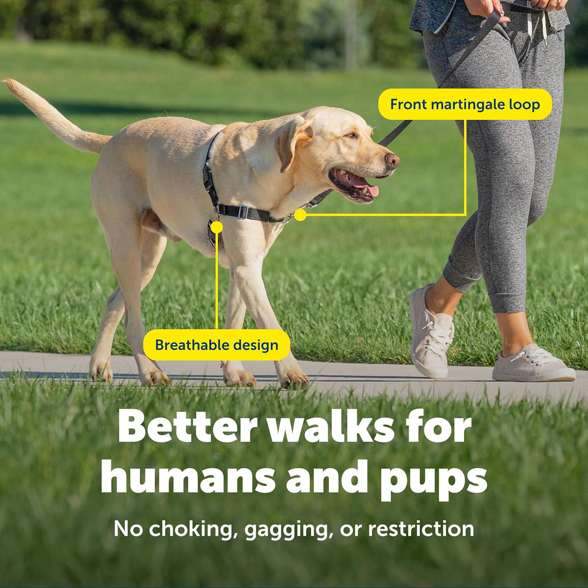 Easy Walk Harness, No Pull Dog Harness, Black, Medium | Patented Martingale Loop Gives Gradual Shoulder Pressure to Stop Pulling, Front-Chest Leash Clip Prevents Gagging