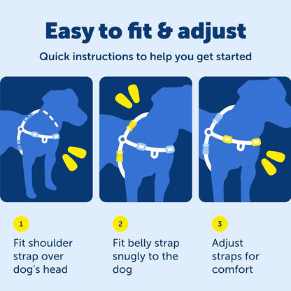 Easy Walk Harness, No Pull Dog Harness, Black, Medium | Patented Martingale Loop Gives Gradual Shoulder Pressure to Stop Pulling, Front-Chest Leash Clip Prevents Gagging