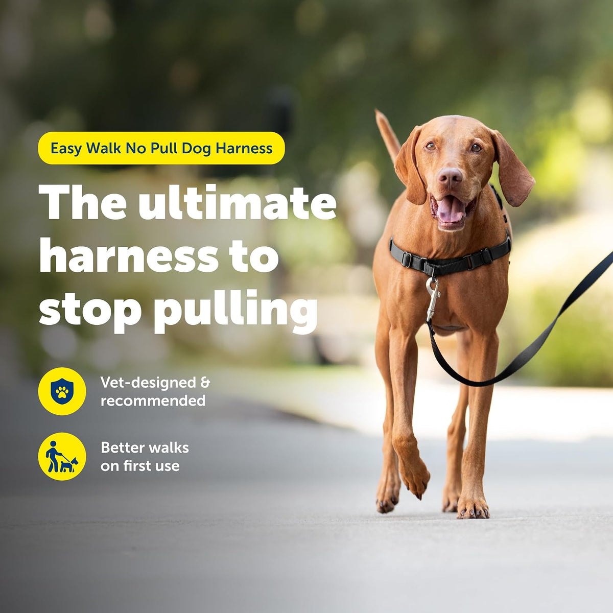 Easy Walk Harness, No Pull Dog Harness, Black, Medium | Patented Martingale Loop Gives Gradual Shoulder Pressure to Stop Pulling, Front-Chest Leash Clip Prevents Gagging