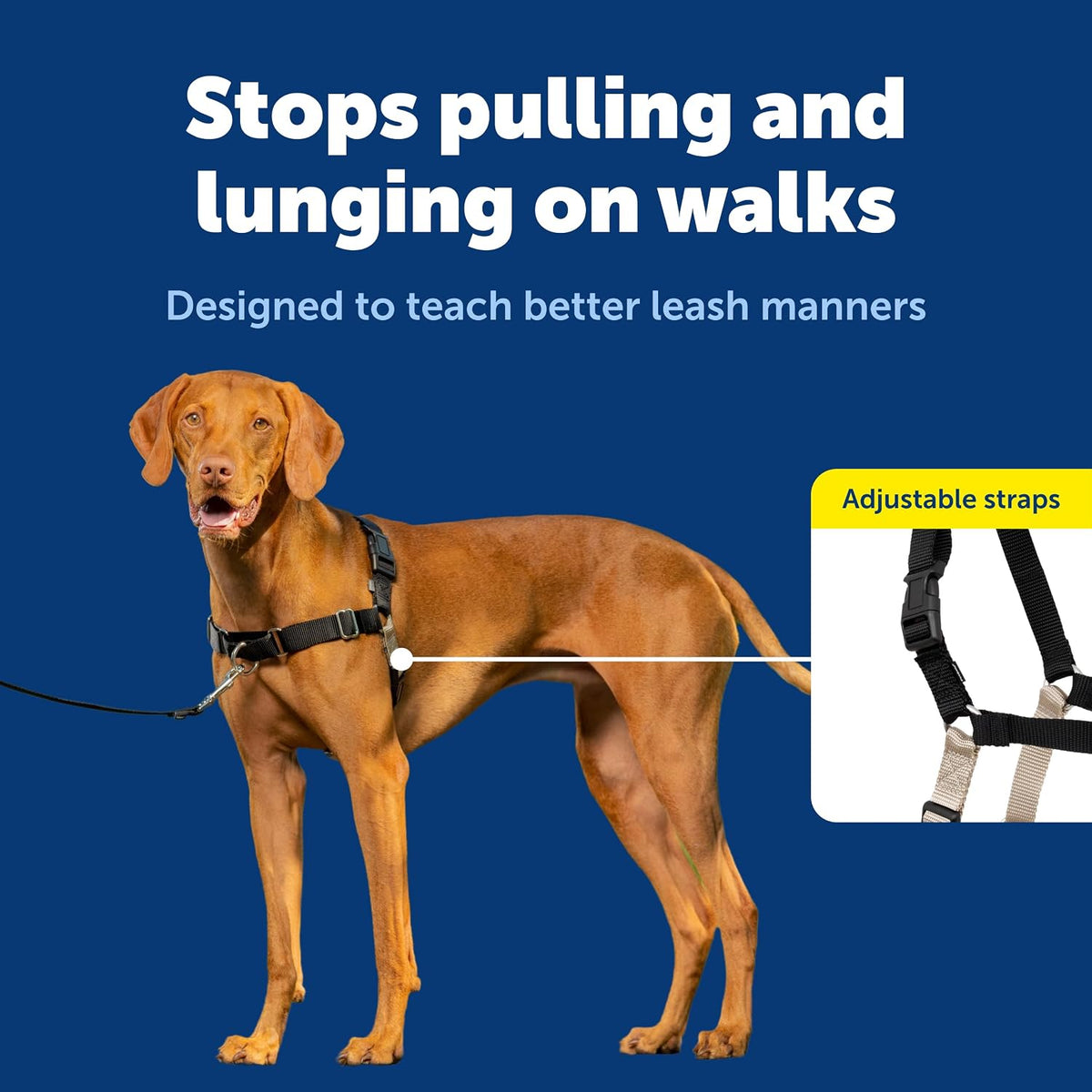 Easy Walk Harness, No Pull Dog Harness, Black, Medium | Patented Martingale Loop Gives Gradual Shoulder Pressure to Stop Pulling, Front-Chest Leash Clip Prevents Gagging