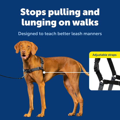 Easy Walk Harness, No Pull Dog Harness, Black, Medium | Patented Martingale Loop Gives Gradual Shoulder Pressure to Stop Pulling, Front-Chest Leash Clip Prevents Gagging