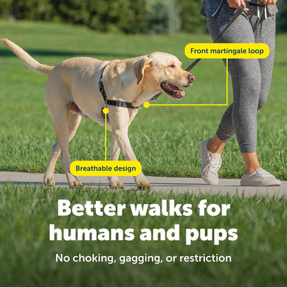 Easy Walk Harness, No Pull Dog Harness, Black, Medium | Patented Martingale Loop Gives Gradual Shoulder Pressure to Stop Pulling, Front-Chest Leash Clip Prevents Gagging