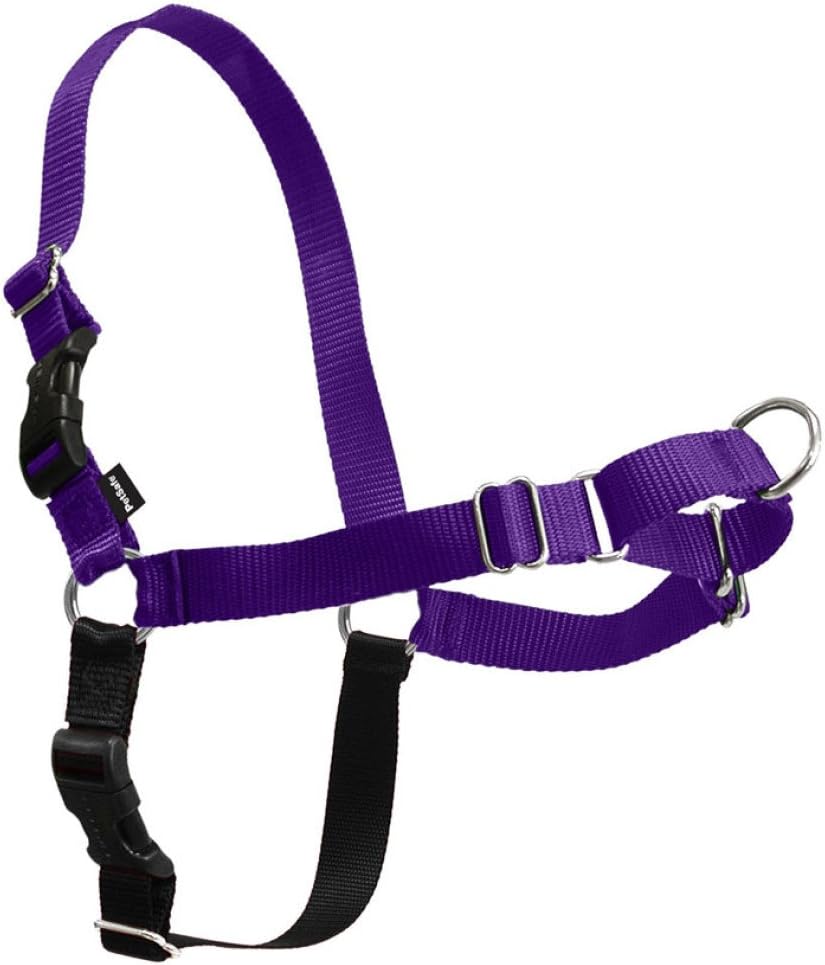 Easy Walk Harness, No Pull Dog Harness, Black, Medium | Patented Martingale Loop Gives Gradual Shoulder Pressure to Stop Pulling, Front-Chest Leash Clip Prevents Gagging
