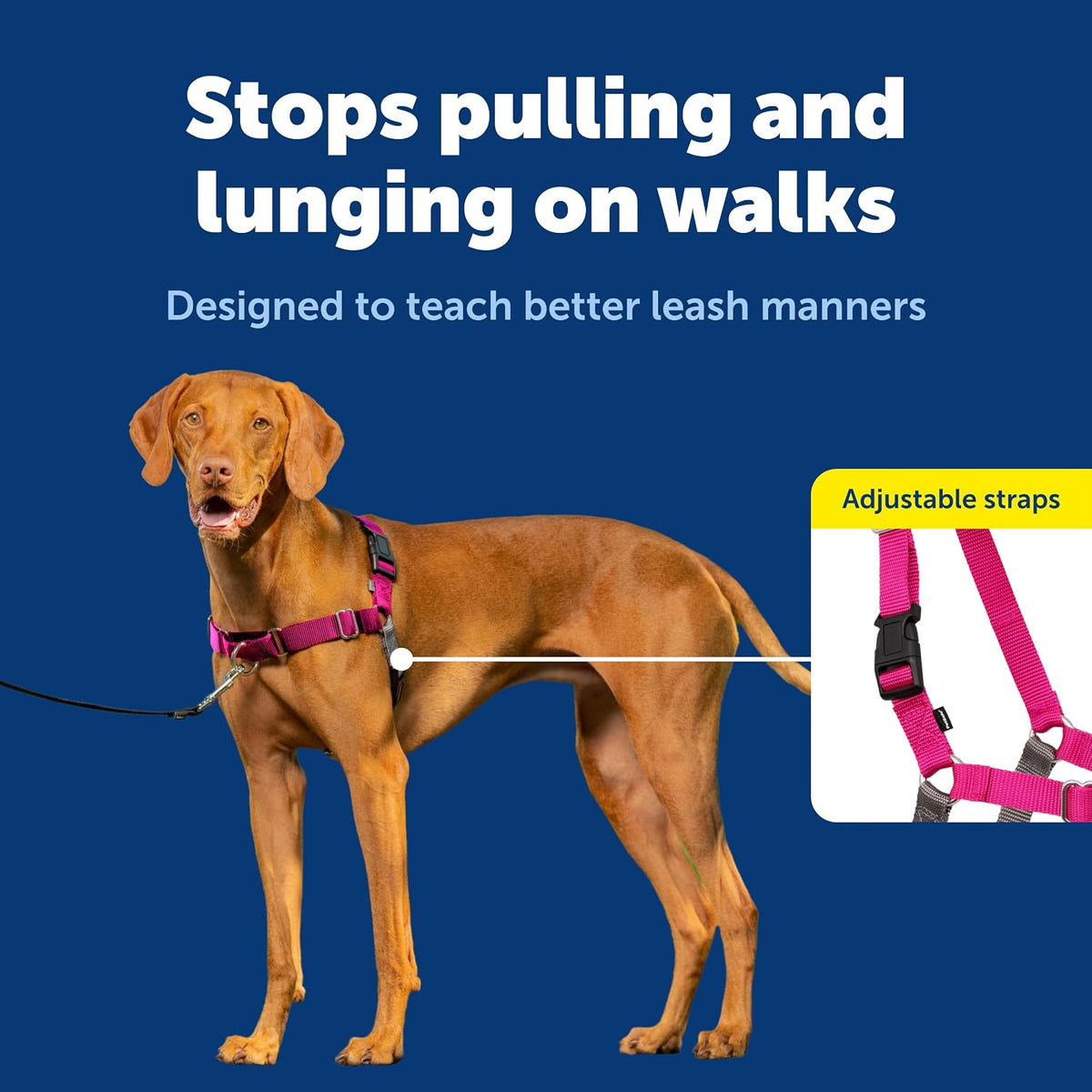 Easy Walk Harness, No Pull Dog Harness, Black, Medium | Patented Martingale Loop Gives Gradual Shoulder Pressure to Stop Pulling, Front-Chest Leash Clip Prevents Gagging