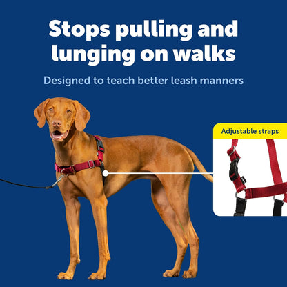 Easy Walk Harness, No Pull Dog Harness, Black, Medium | Patented Martingale Loop Gives Gradual Shoulder Pressure to Stop Pulling, Front-Chest Leash Clip Prevents Gagging