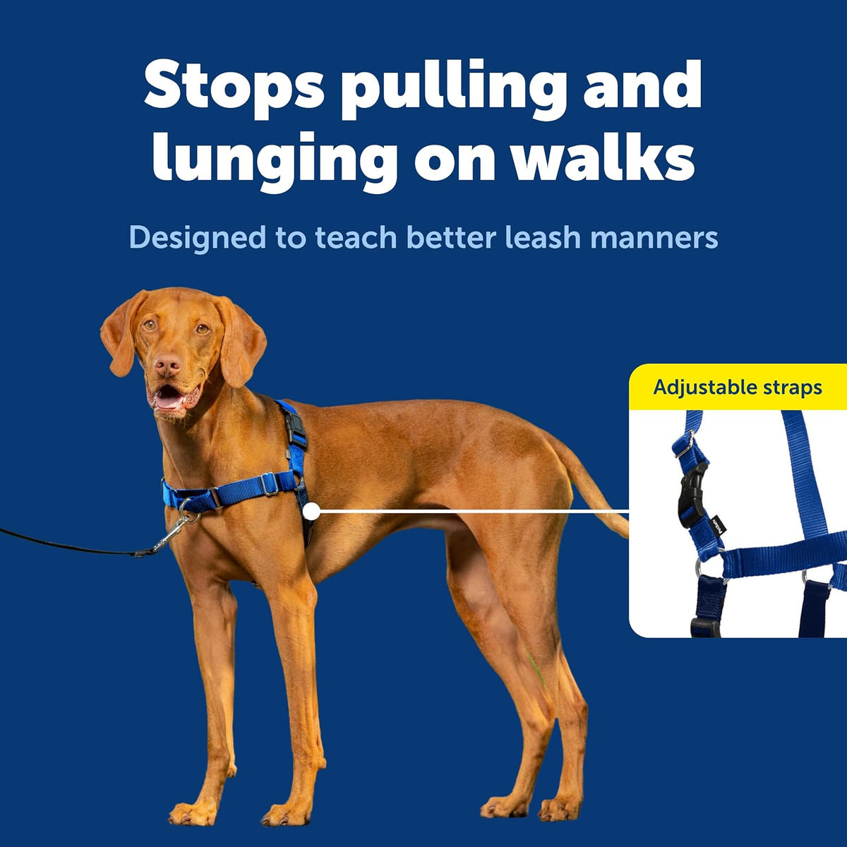 Easy Walk Harness, No Pull Dog Harness, Black, Medium | Patented Martingale Loop Gives Gradual Shoulder Pressure to Stop Pulling, Front-Chest Leash Clip Prevents Gagging