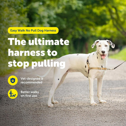 Easy Walk Harness, No Pull Dog Harness, Black, Medium | Patented Martingale Loop Gives Gradual Shoulder Pressure to Stop Pulling, Front-Chest Leash Clip Prevents Gagging