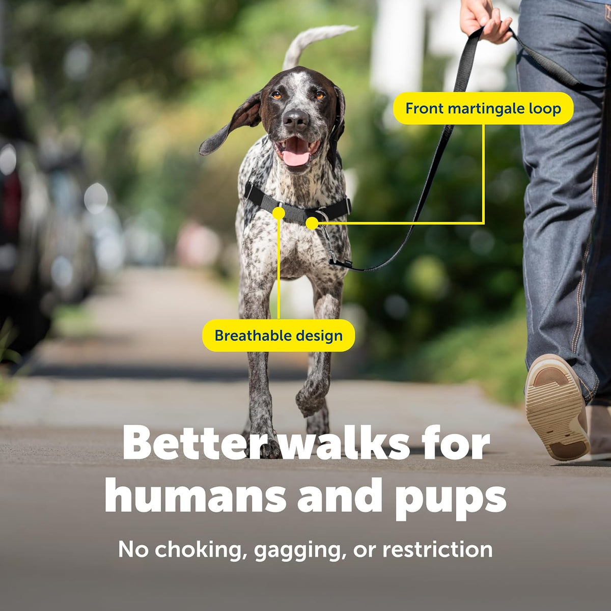 Easy Walk Harness, No Pull Dog Harness, Black, Medium | Patented Martingale Loop Gives Gradual Shoulder Pressure to Stop Pulling, Front-Chest Leash Clip Prevents Gagging