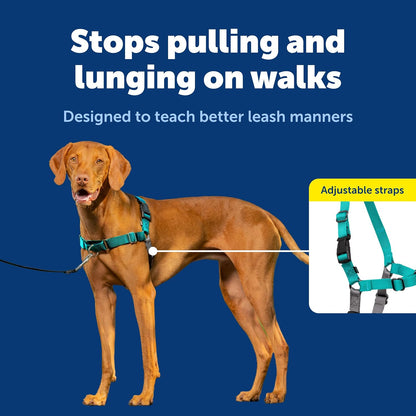 Easy Walk Harness, No Pull Dog Harness, Black, Medium | Patented Martingale Loop Gives Gradual Shoulder Pressure to Stop Pulling, Front-Chest Leash Clip Prevents Gagging