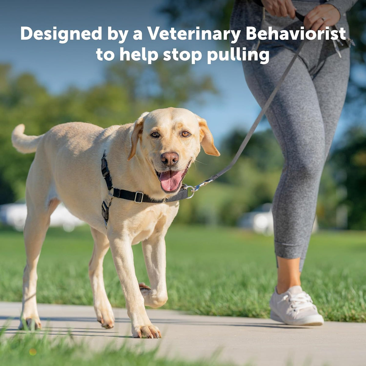 Easy Walk Harness, No Pull Dog Harness, Black, Medium | Patented Martingale Loop Gives Gradual Shoulder Pressure to Stop Pulling, Front-Chest Leash Clip Prevents Gagging