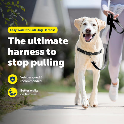 Easy Walk Harness, No Pull Dog Harness, Black, Medium | Patented Martingale Loop Gives Gradual Shoulder Pressure to Stop Pulling, Front-Chest Leash Clip Prevents Gagging